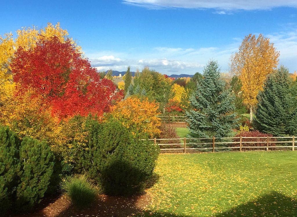 fall in Colorado