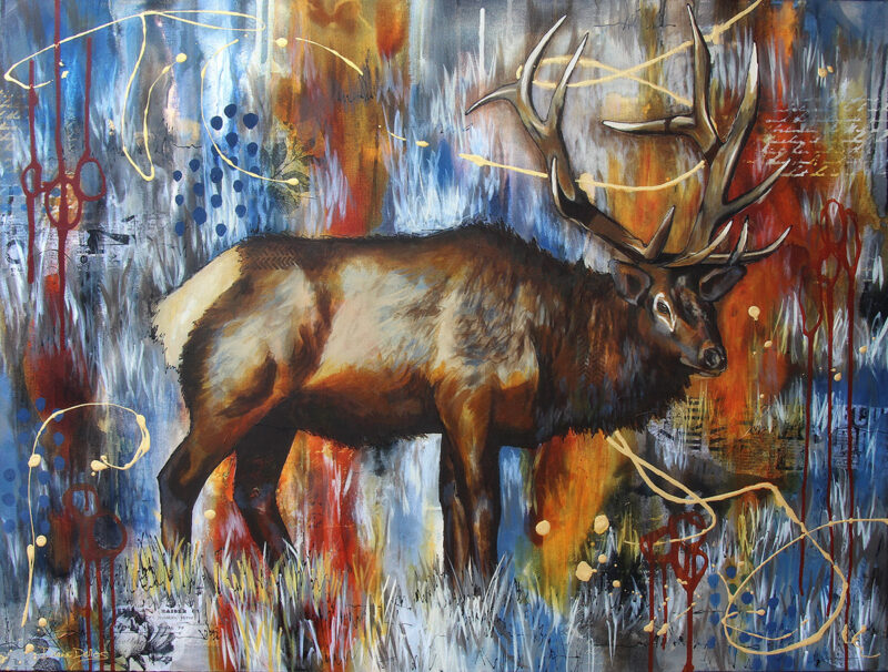 Wapiti Royale Elk